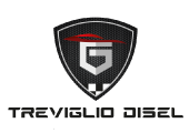 trevigliodisel logo