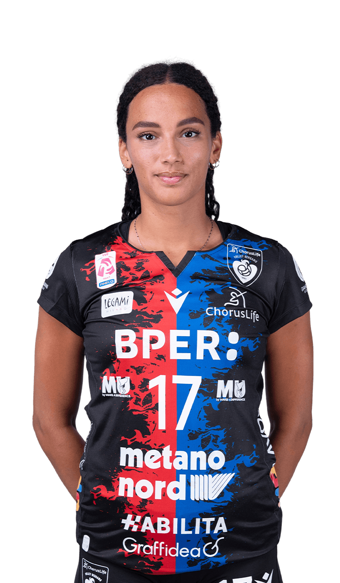 17 meli HomeKit